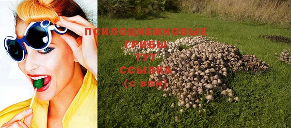 скорость Дмитриев