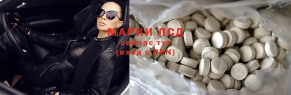 ПСИЛОЦИБИНОВЫЕ ГРИБЫ Дмитров