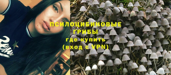 скорость Дмитриев