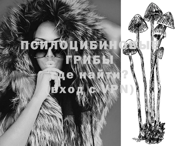 скорость Дмитриев