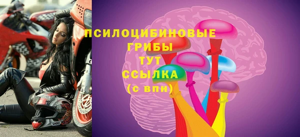 скорость Дмитриев